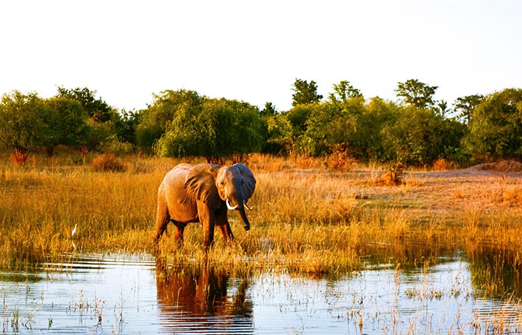 Afrika - Botswana