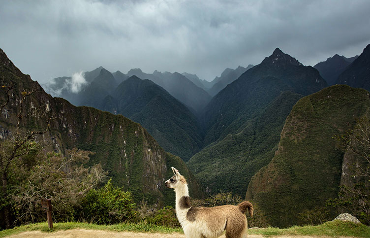Südamerika - Peru